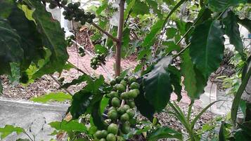 14-inch TV with satellite channels