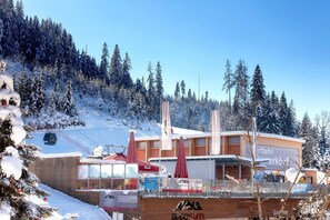 Snow and ski sports - Gut Wenghof - Family Resort Werfenweng (Werfenweng)