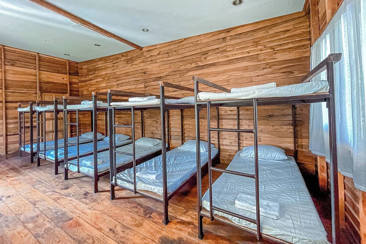 A room with bunk beds arranged in two rows against wooden walls.