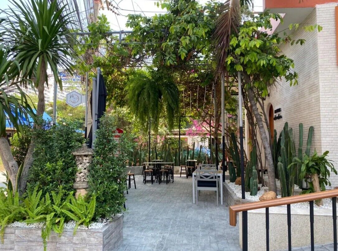 Een terras buiten met tafels en stoelen, omringd door verschillende planten en cactussen.