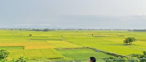 A man relaxing in a infinity pool with a view of green fields and distant buildings.