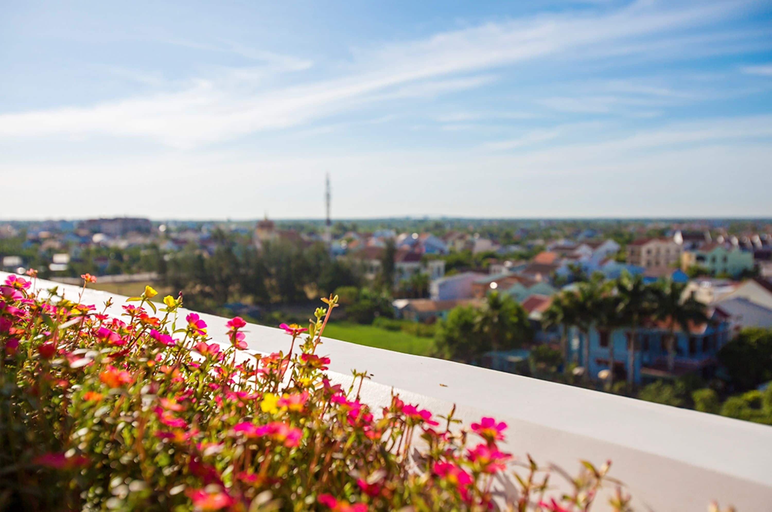 junior suite | view from room