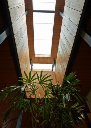 Una habitación con tragaluz, paredes de madera y una planta en maceta.
