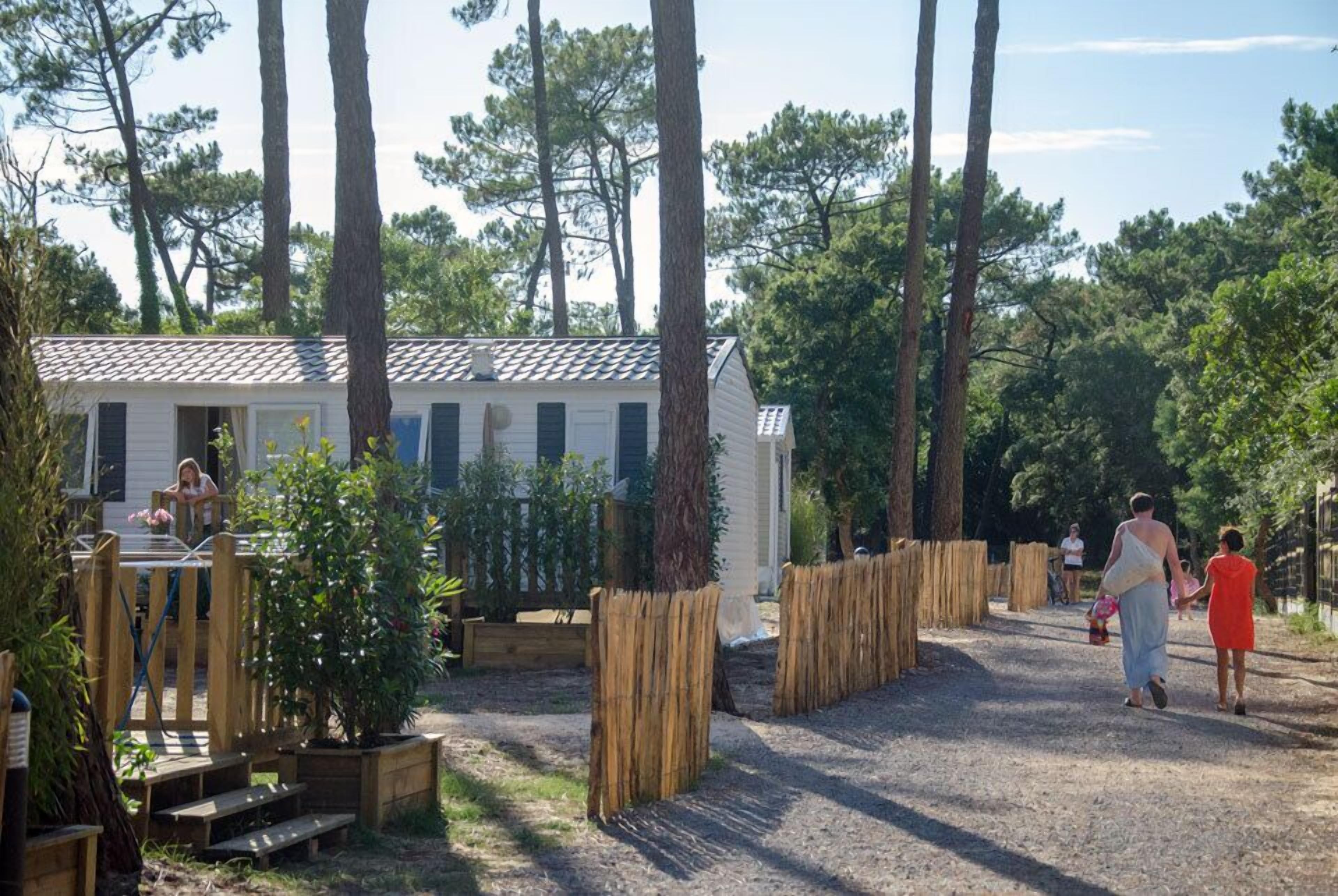 A small cabin with a sloped roof, surrounded by tall trees and a gravel path.