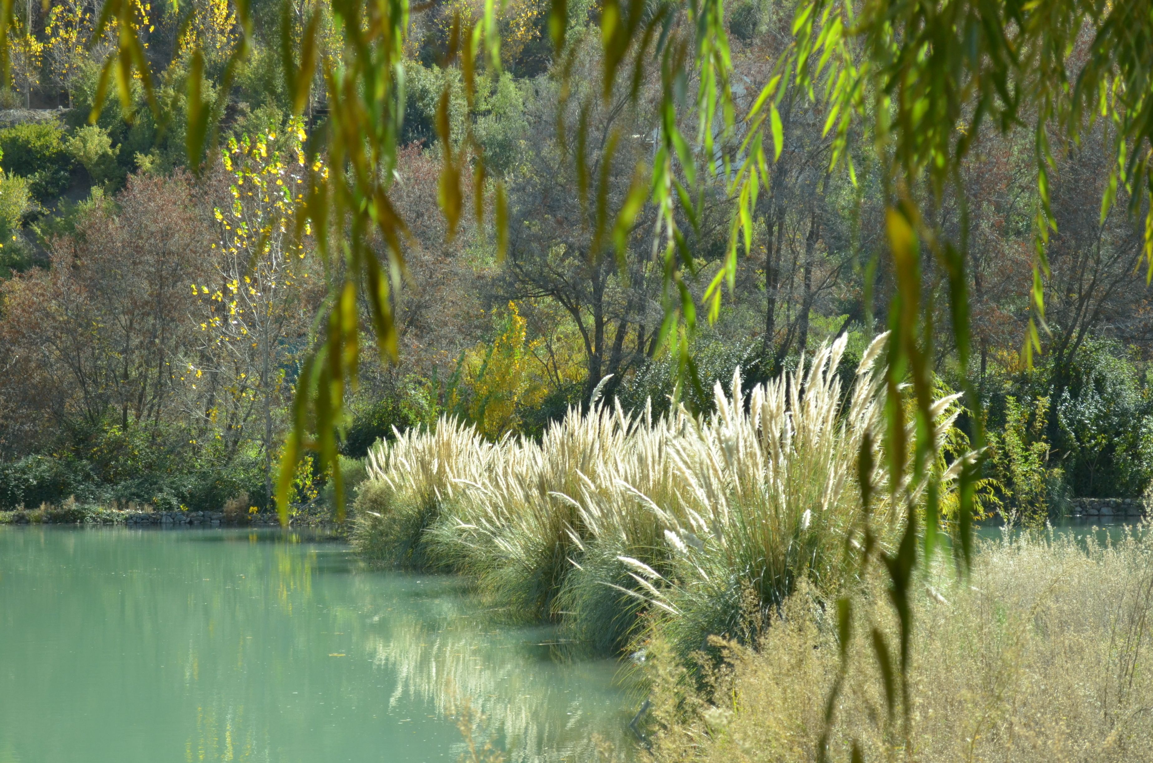 Lake