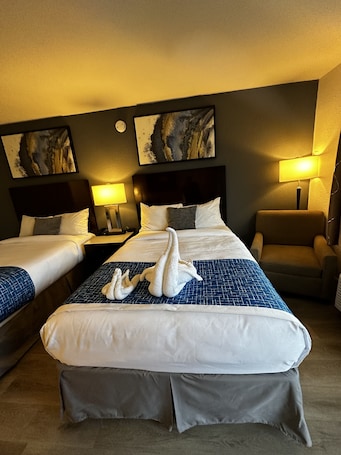 Escritorio, wifi gratis y ropa de cama