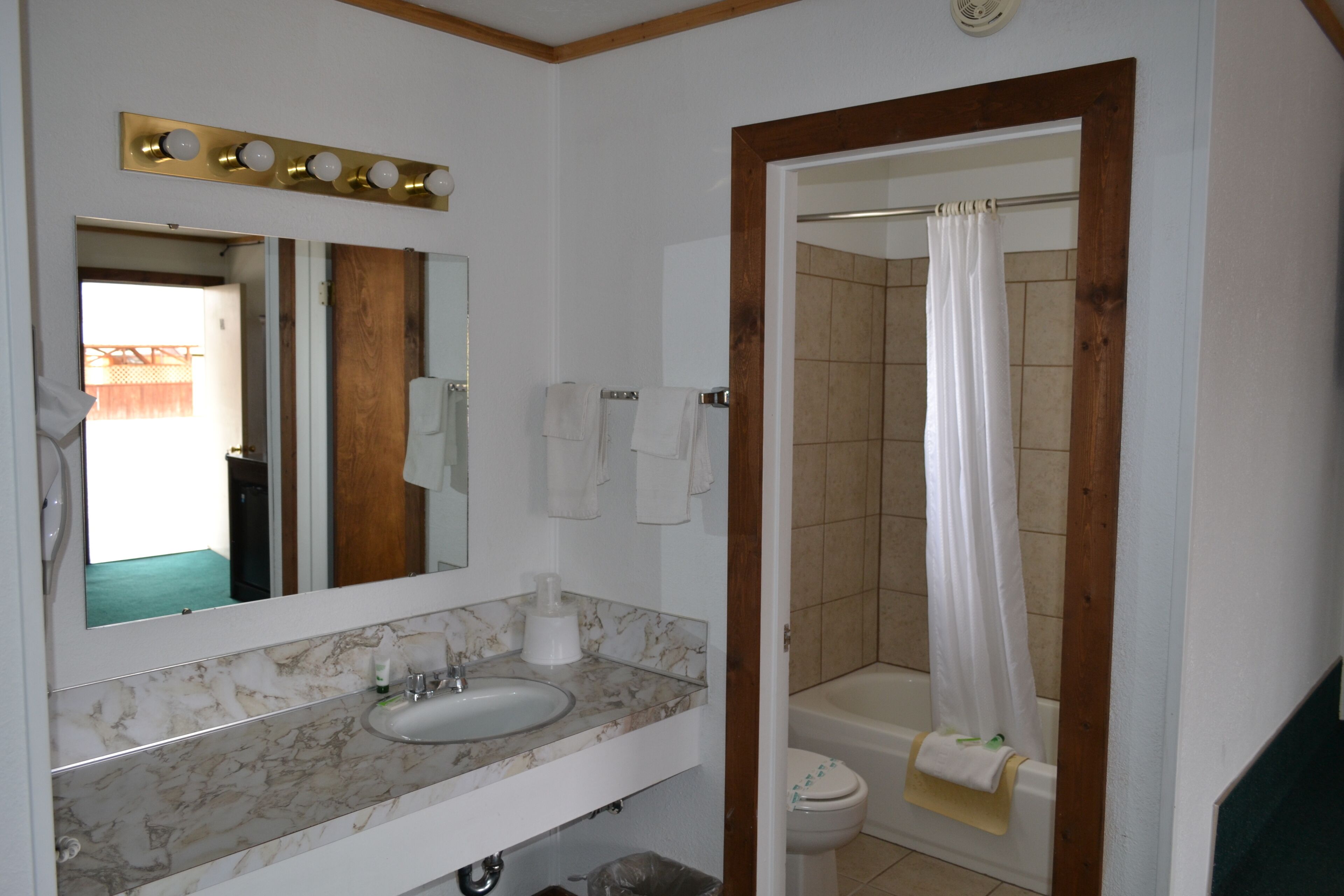 A bathroom with a marble sink, a mirror, a shower curtain, and a toilet.