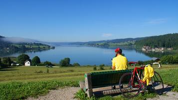 A lake with a bench and a bicycle, surrounded by greenery and houses.