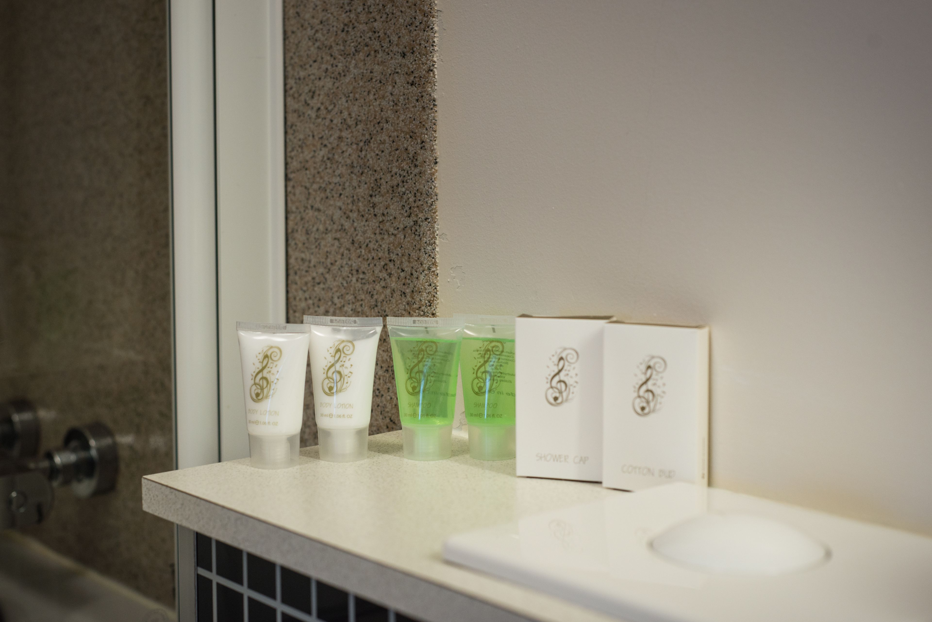 free toiletries, hair dryer, towels