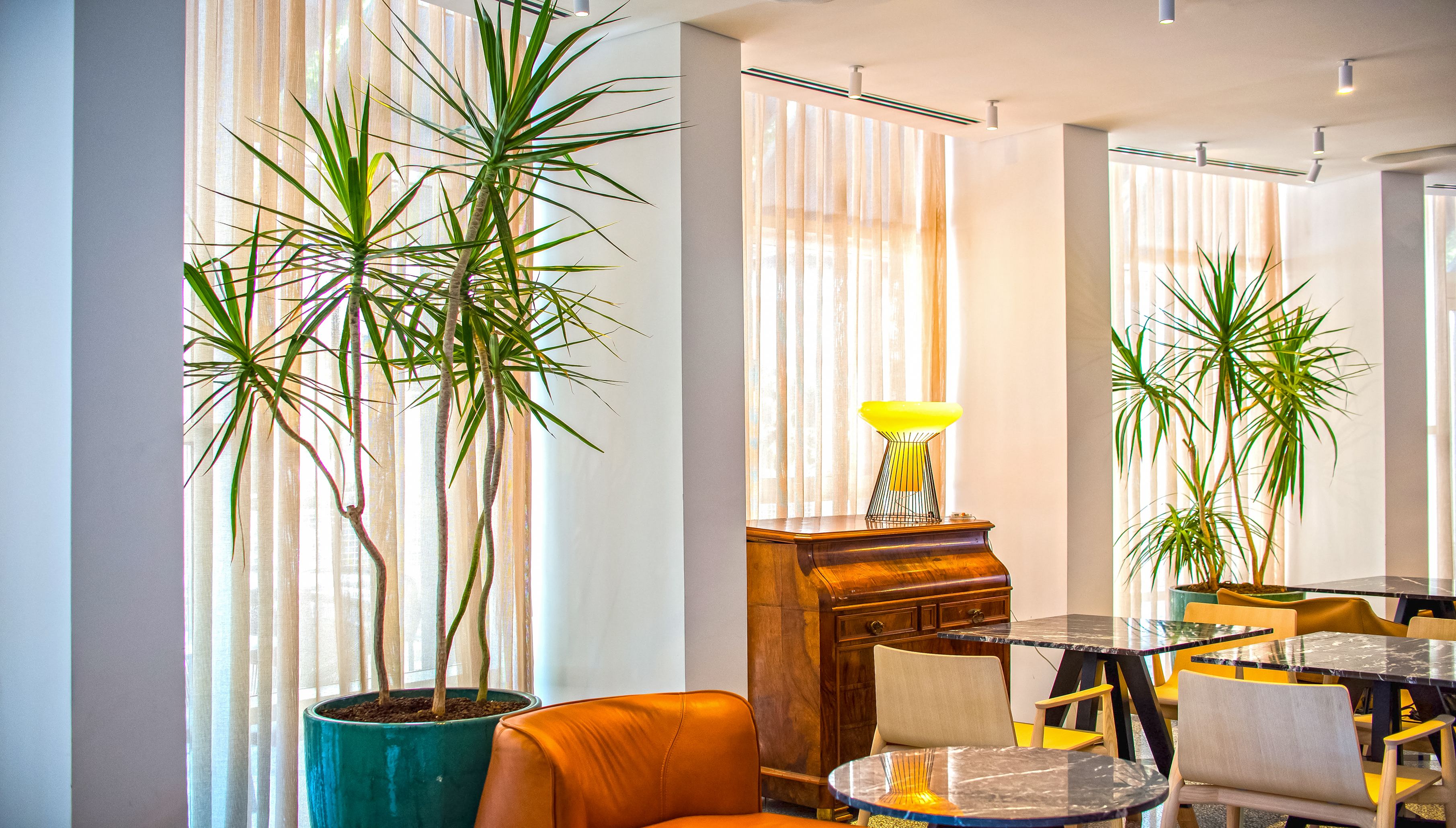 mediterranean cuisine