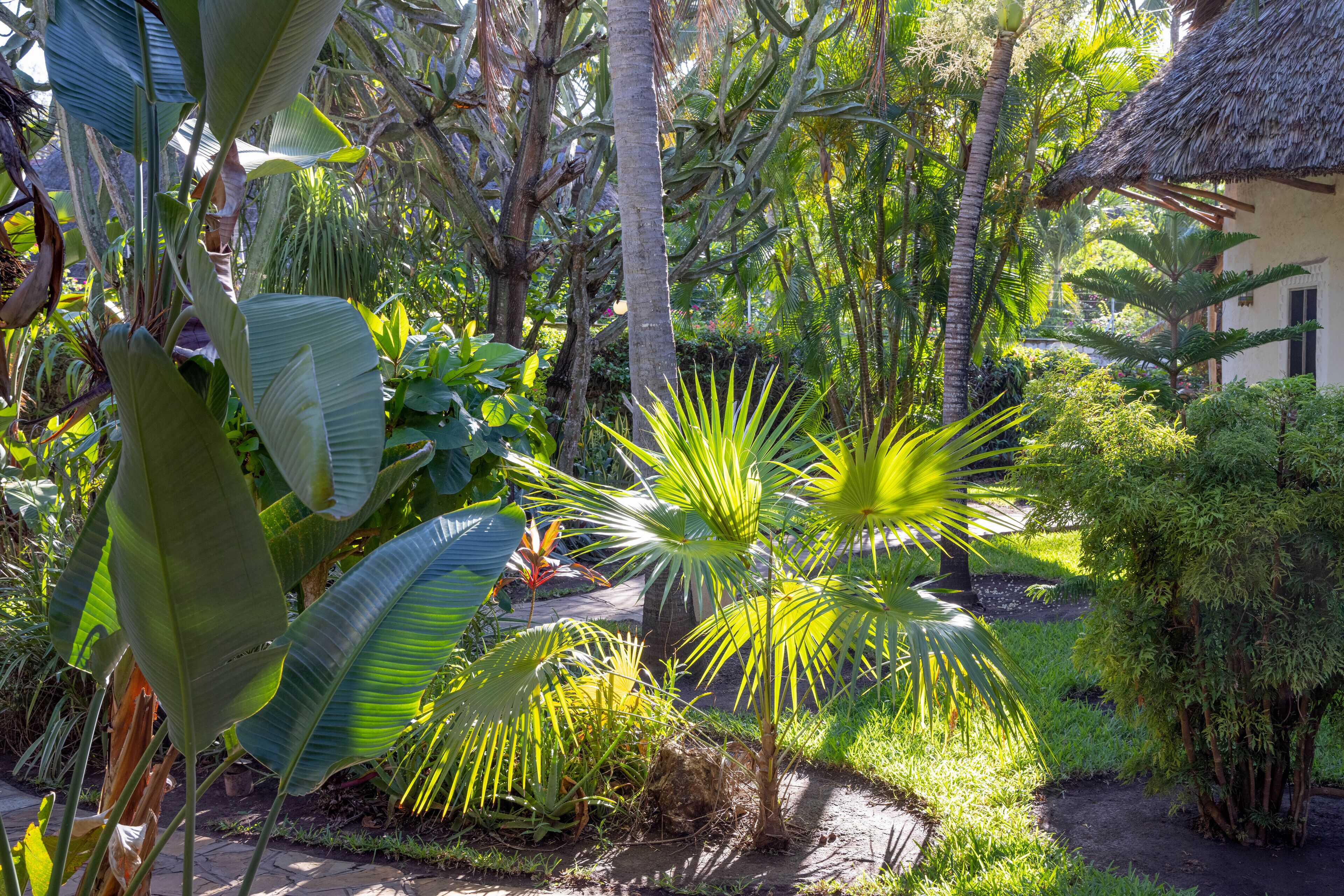 Garden