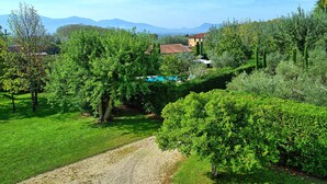 A lush garden with a swimming pool, a rustic house, and mountains in the background. - Villa Fiamma (Capannori)