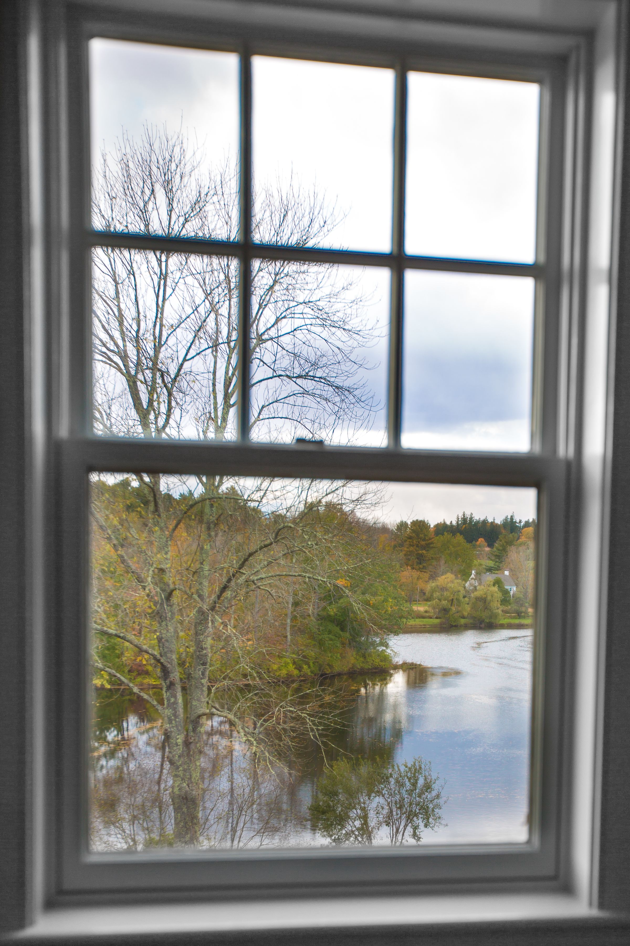 Standard Suite, Multiple Beds, Non Smoking | View from room