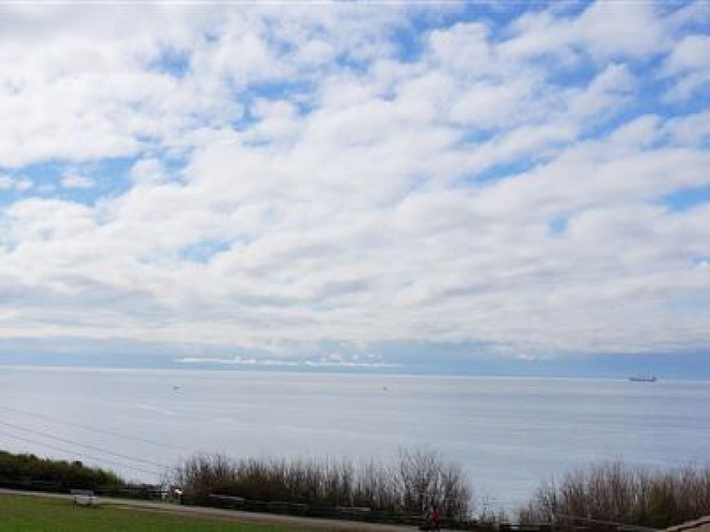 A view of a large body of water with a distant ship, overcast sky, and a grassy area in the foreground.