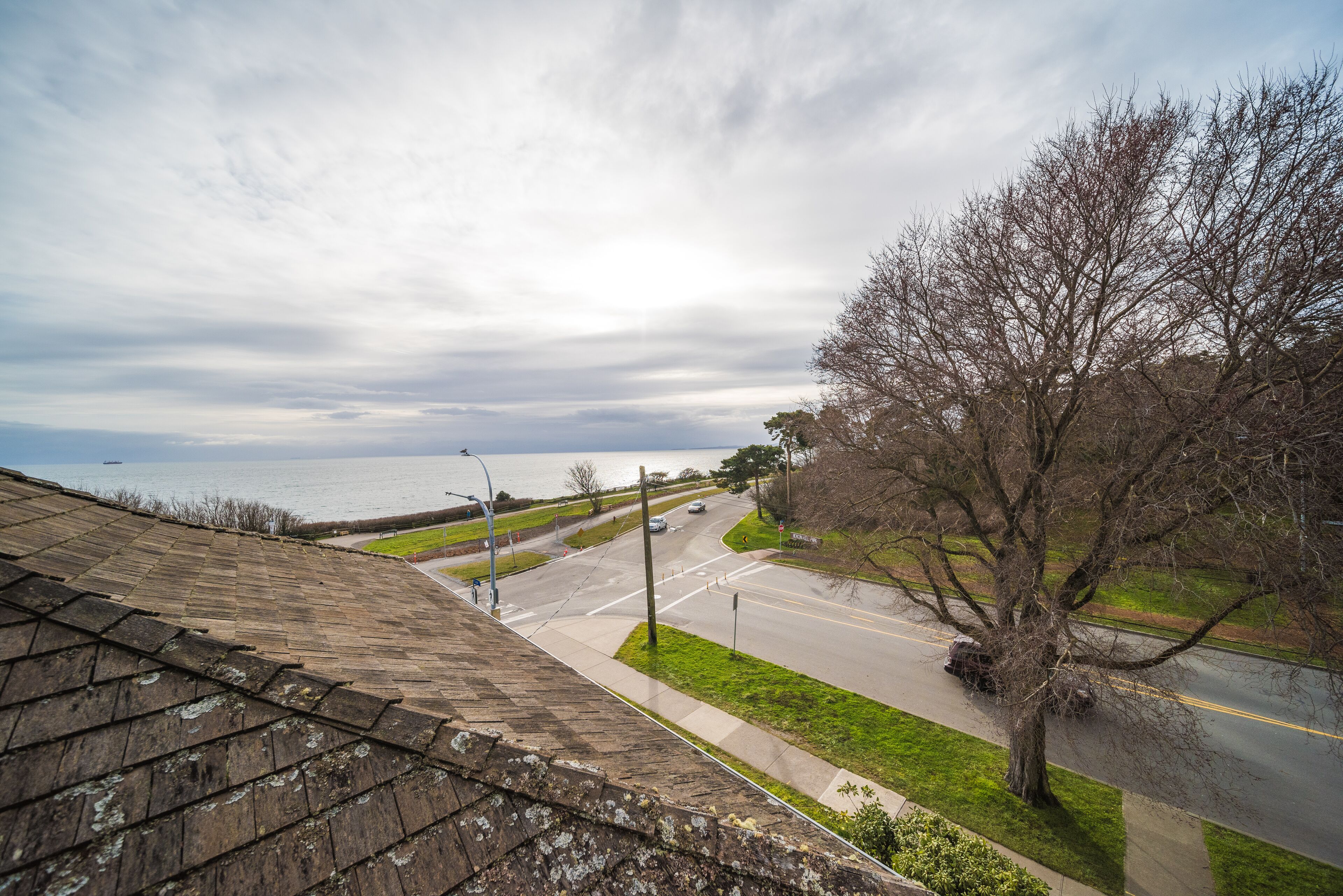 Une vue prise depuis un point de vue élevé, donnant sur une route, avec un arbre et une étendue d'eau en arrière-plan.