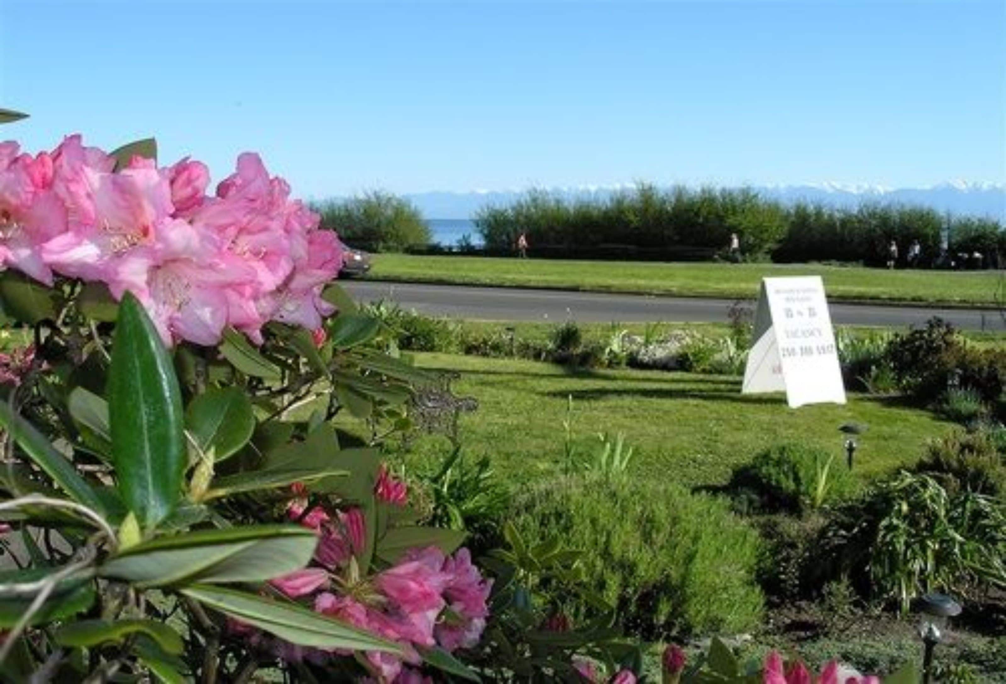 A landscaped garden with a sign indicating a property for sale.