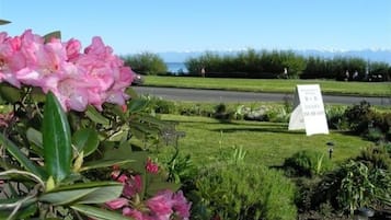 Jardín ajardinado con un letrero que indica una propiedad en venta.