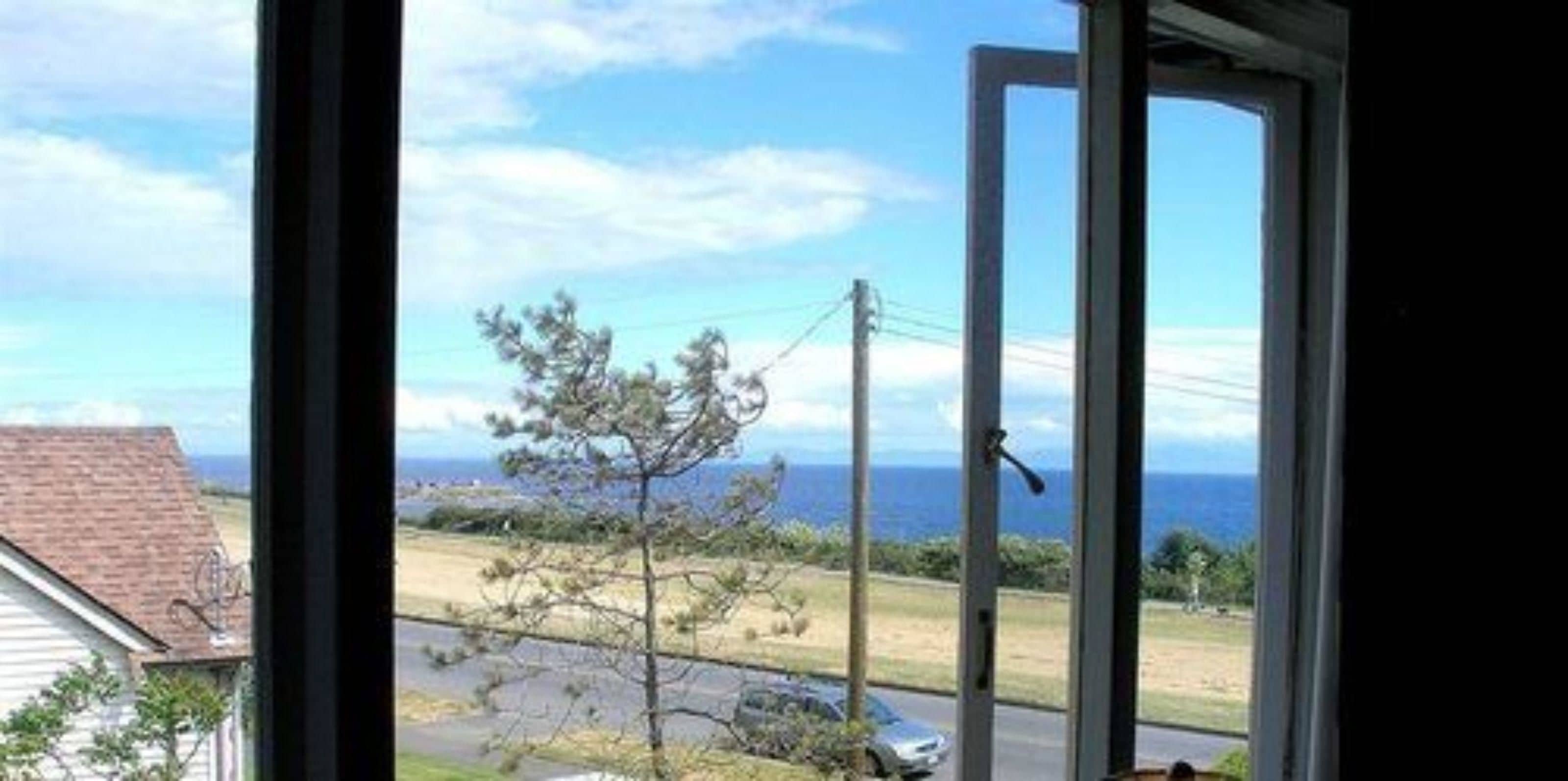 A view from inside a building looking out to a grassy area with a tree and a clear sky.
