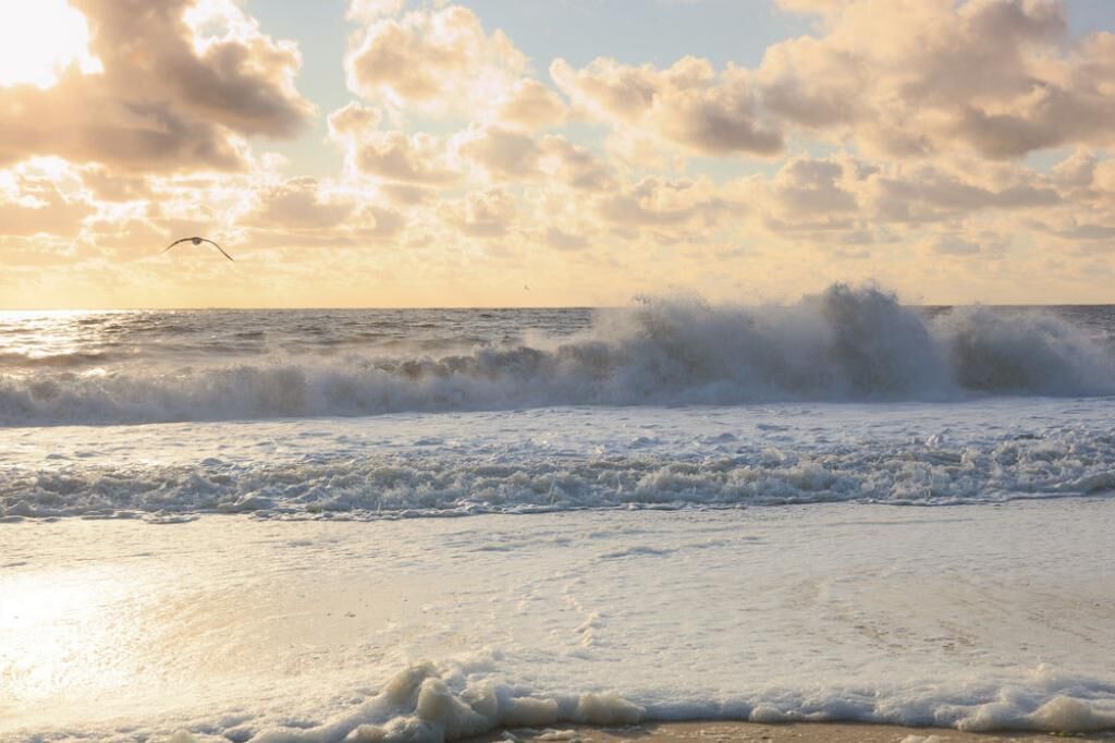 A beach with waves crashing onto the shore and a bird flying in the sky.