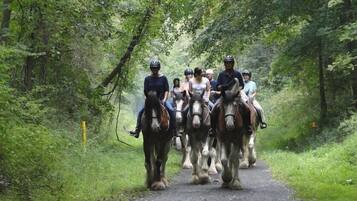A group of people riding horses on a narrow, tree-lined path.