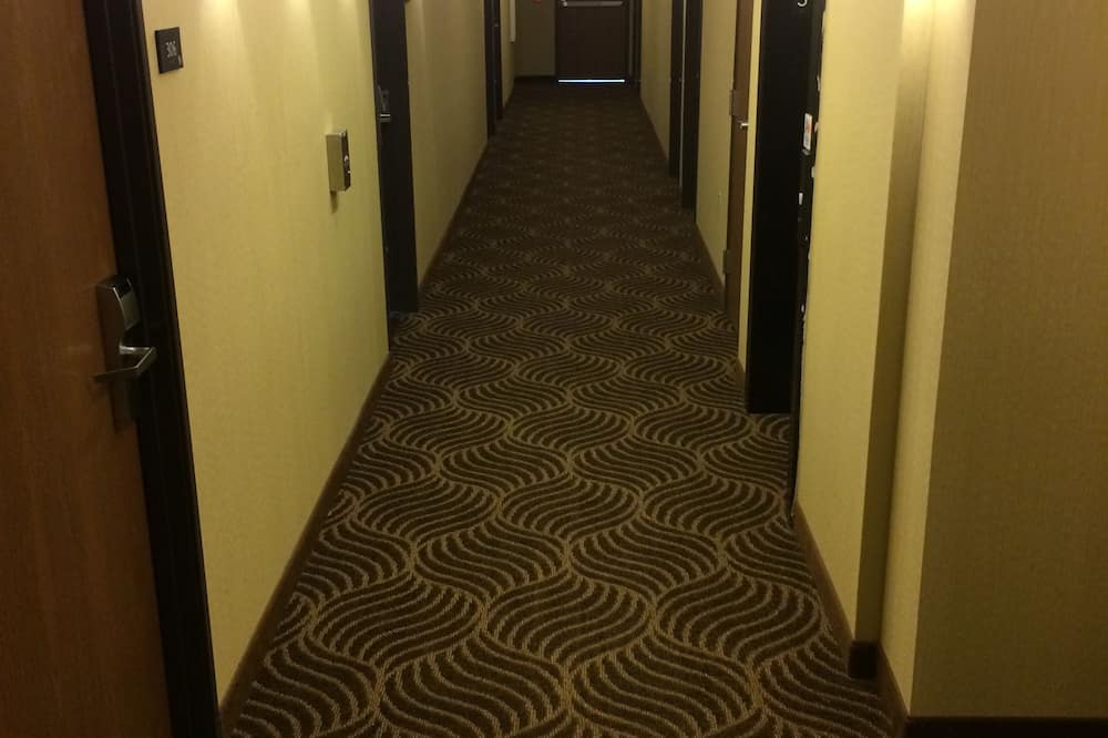 The Inn Forza