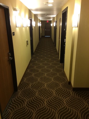 Hallway. The Inn Forza