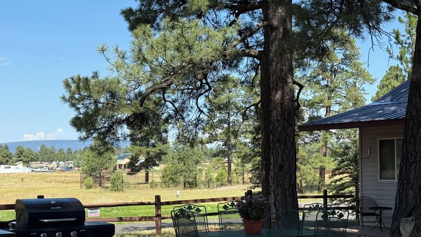 Un patio con una parrilla, asientos al aire libre y vistas a un área boscosa.