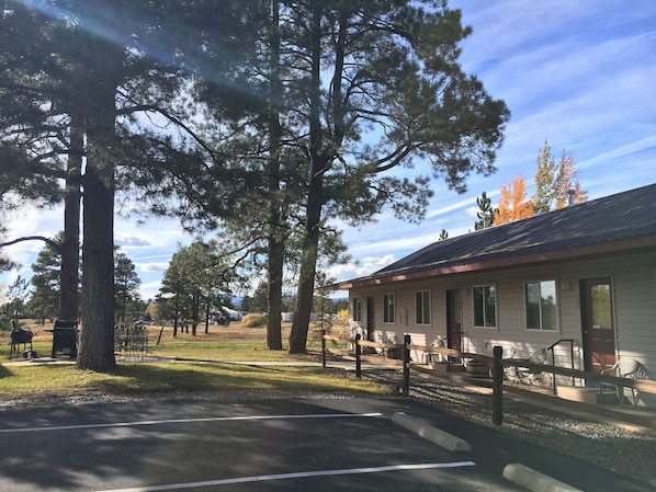 Área da propriedade