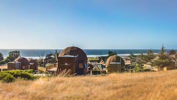 A coastal area with dome-shaped huts and traditional houses, surrounded by grass and trees, with the ocean in the background.