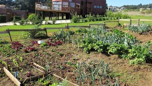 A dome-shaped wooden structure with a deck and a wooden fence surrounding a garden with various vegetables. - Pichilemu Domos (Pichilemu)