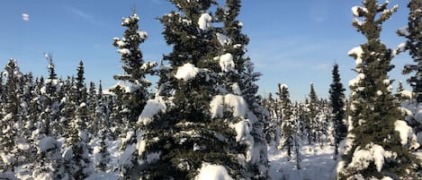 標準客房, 1 張加大雙人床和 1 張沙發床, 簡易廚房 | 客房景觀