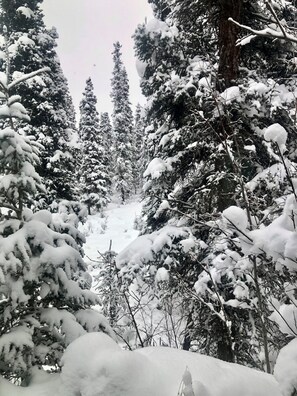 Vista desde la habitación