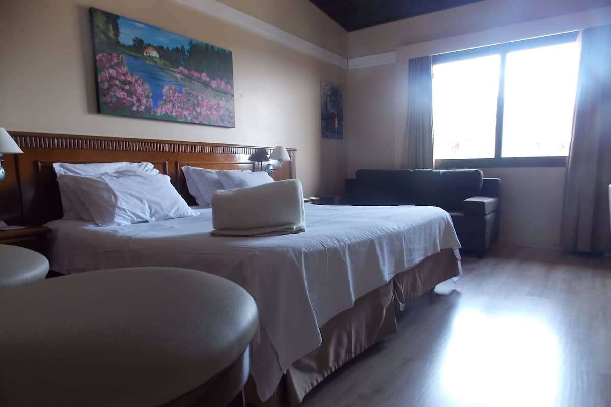 Suite monolocale familiare | Minibar, una scrivania, postazione laptop