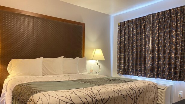 A hotel room with a bed, a nightstand, a lamp, a window with curtains, and a radiator. - Colonial Motel (Santa Maria)