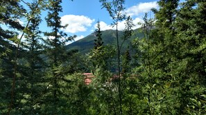 Deluxe-hytte - 1 queensize-seng - ved bjerg | Udsigt fra værelset