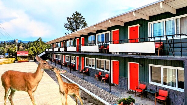 Un motel con varias habitaciones, cada una con una puerta roja y ventanas con marcos blancos.