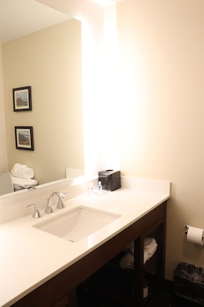 Bathroom features a large sink with a modern faucet, a mirror, and a wooden vanity.