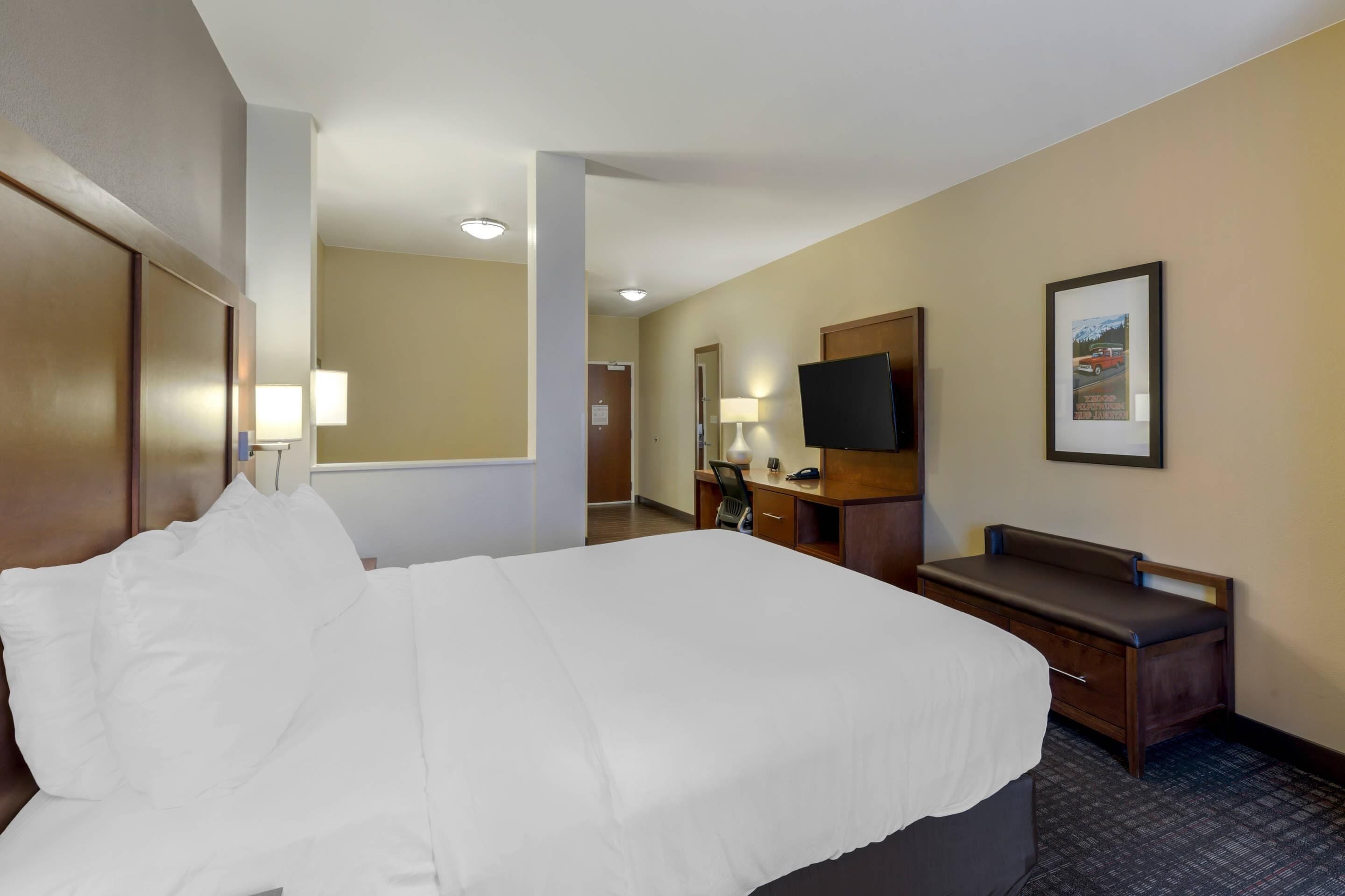 A hotel room with a bed, desk, chair, TV, and a framed picture on the wall.