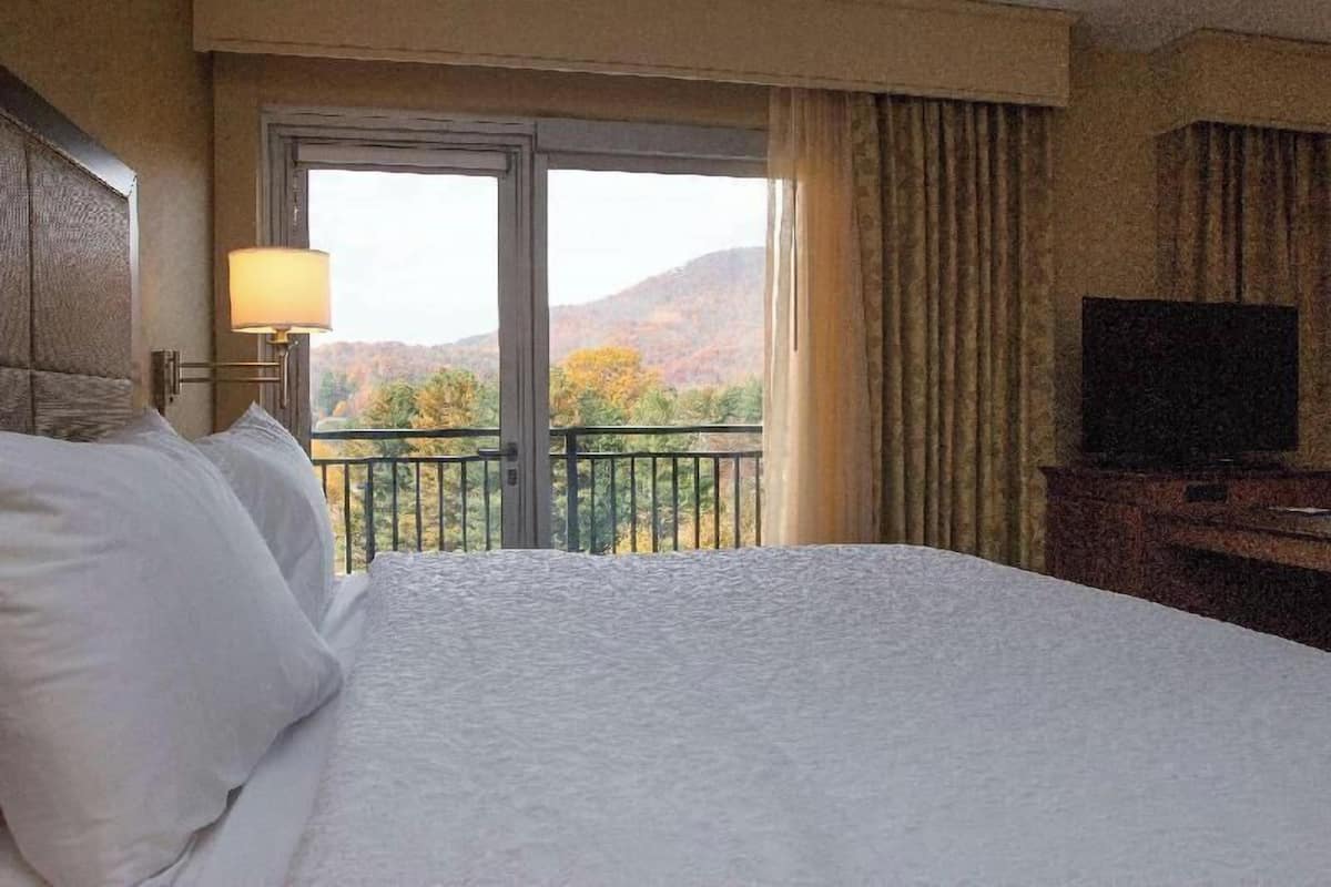 In-room safe, free cribs/infant beds, rollaway beds, free WiFi