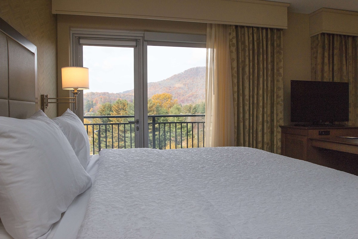 A hotel room with a large bed, a TV, a balcony with a view of trees and hills, and a window with curtains.