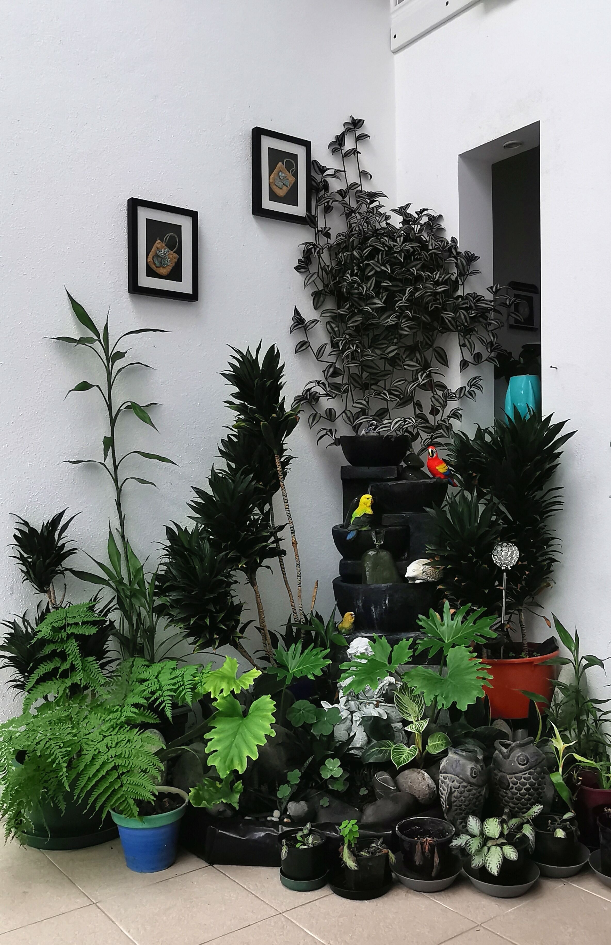 Foto - Lush & Co Auckland Bed & Breakfast