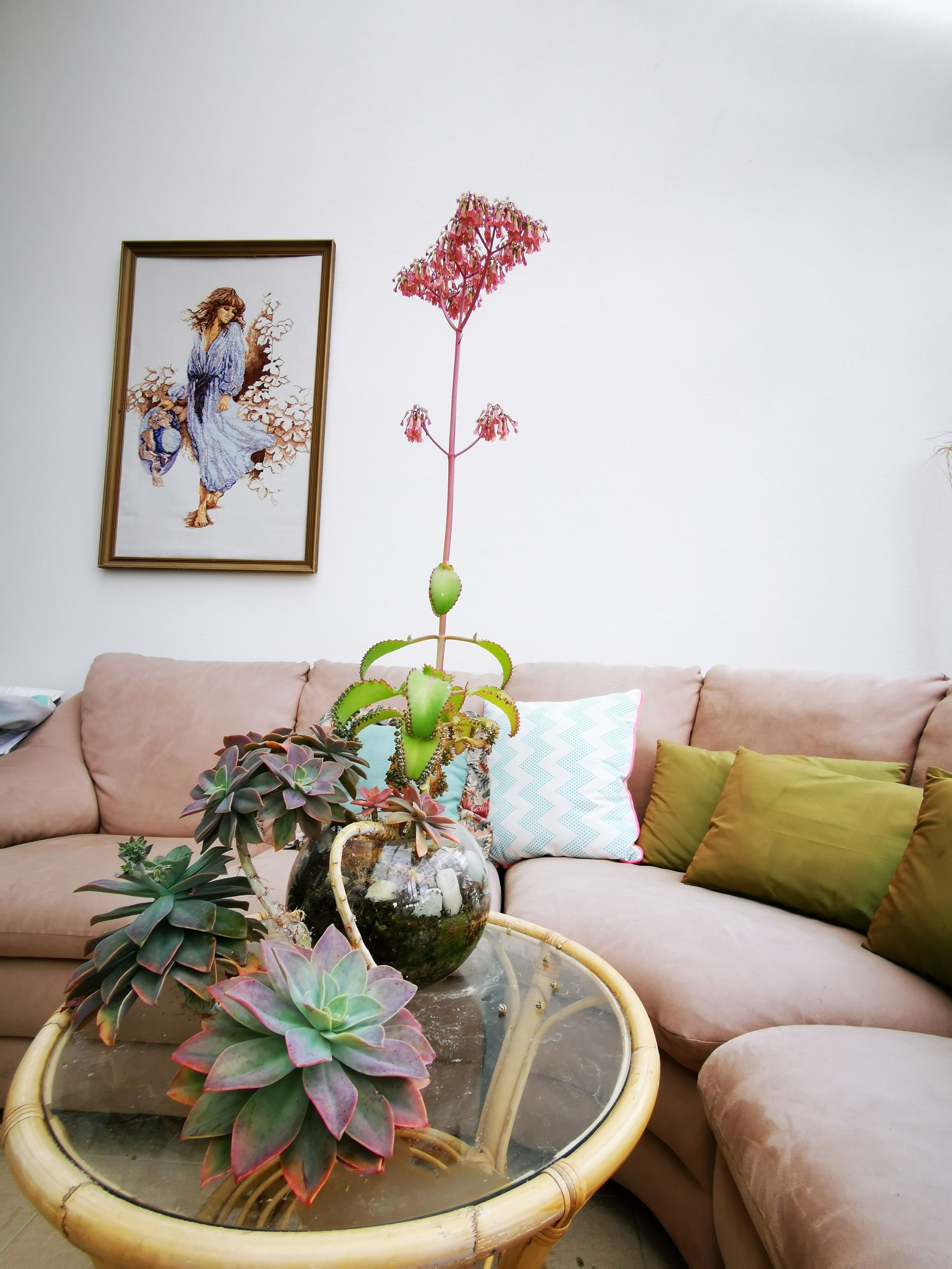 Foto - Lush & Co Auckland Bed & Breakfast