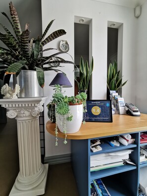 Interior - Lush & Co Auckland Bed & Breakfast (Auckland)