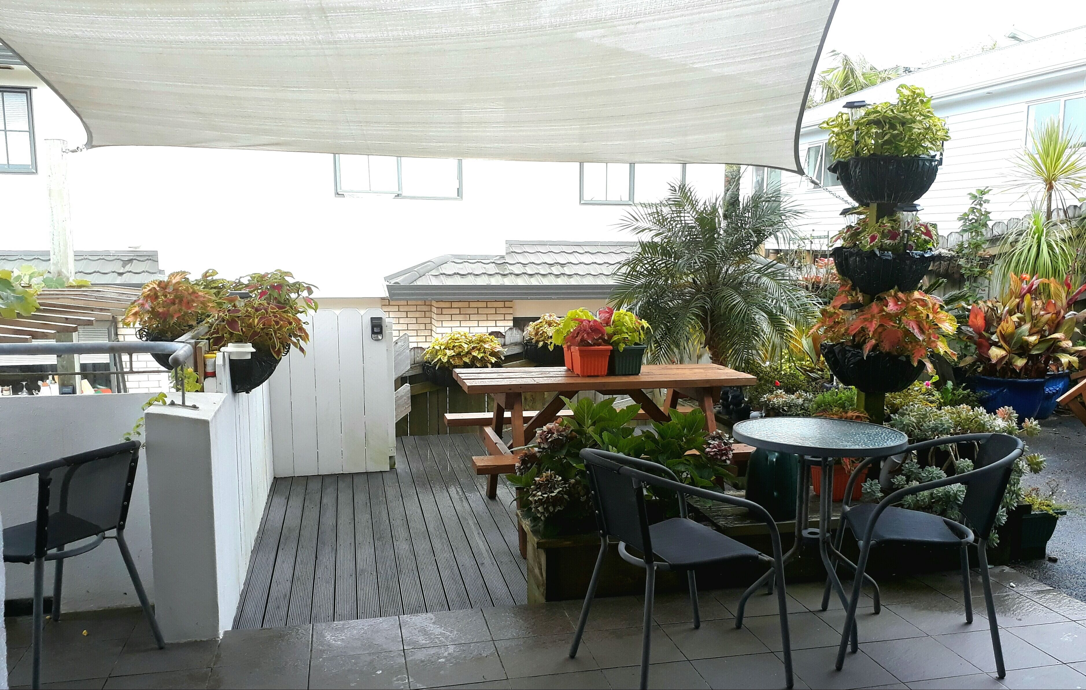 Foto - Lush & Co Auckland Bed & Breakfast