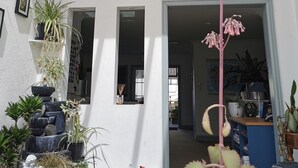 A spacious living area with a balcony, multiple potted plants, and a staircase leading to an upper level. - Lush & Co Auckland Bed & Breakfast (Auckland)