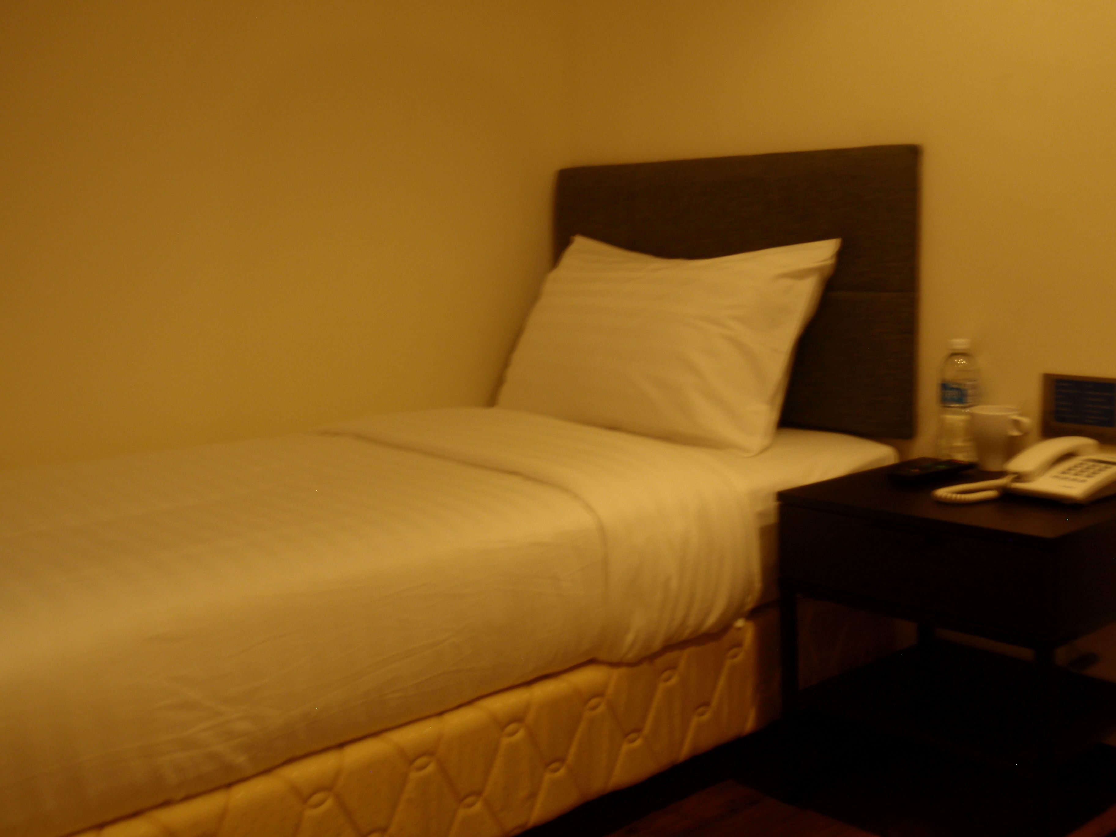 single room | desk, iron/ironing board, free wifi, wheelchair access