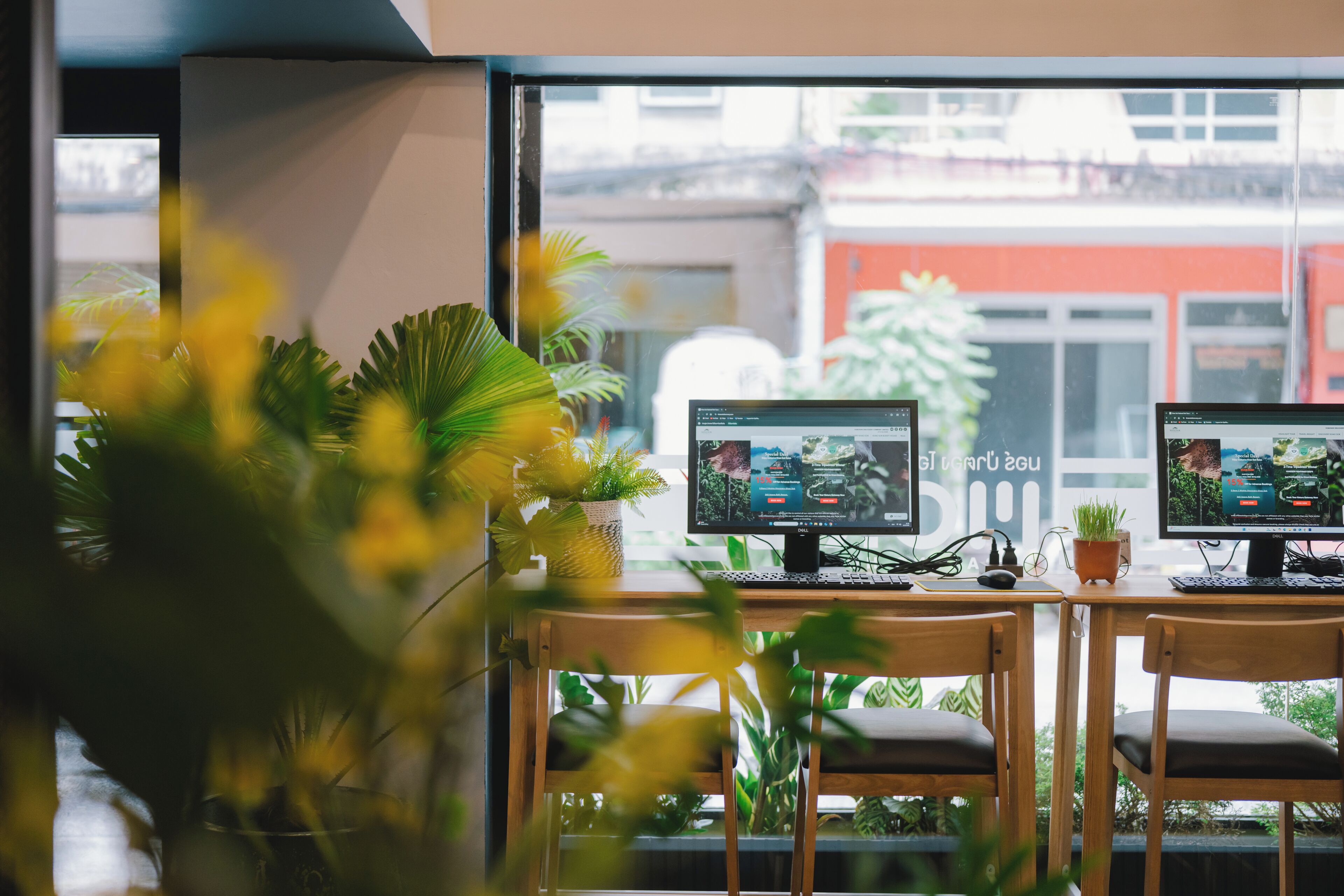 A workspace with two computer monitors, a keyboard, and a mouse on a wooden desk. There are two chairs and a potted plant.
