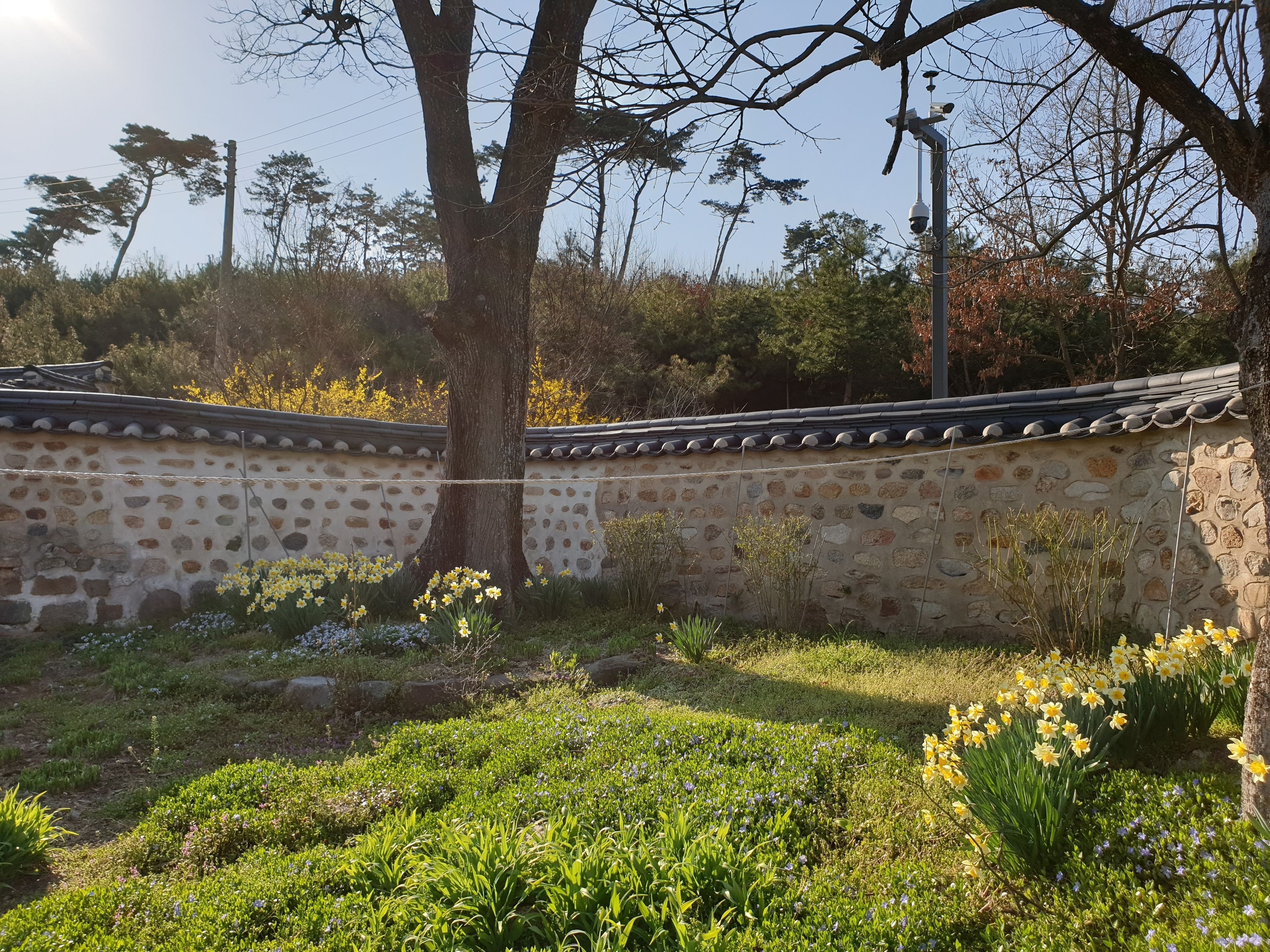 숙박 시설에서 보는 주변 전망
