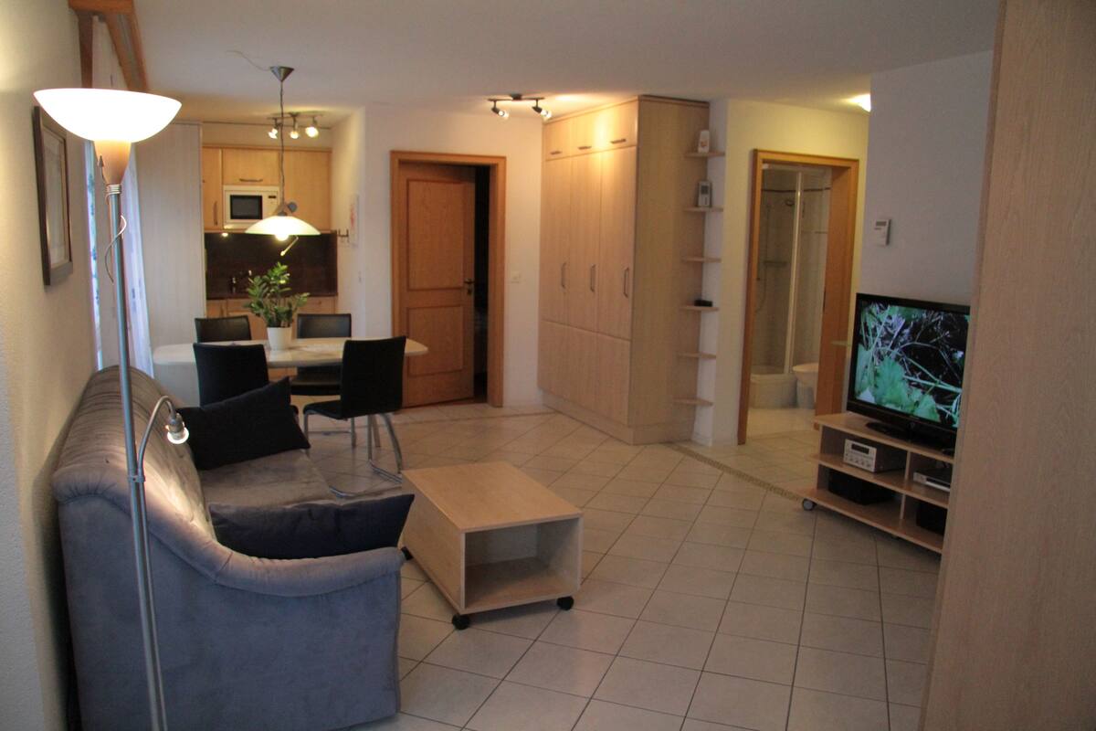 Ein Wohnzimmer mit einer Couch, einem Couchtisch, einem Fernseher und einem Essbereich mit Stühlen und einem Tisch.