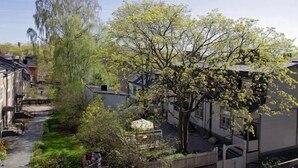 Un barrio residencial con casas, una calle estrecha y un árbol de hojas verdes.